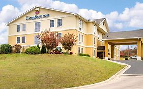 Comfort Inn Poplar Bluff North